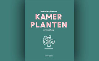 De kleine gids voor kamerplanten