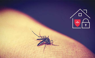 Jouw Loxone Smart Home, beschermer in nood tegen insecten