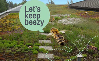 Zoemdak moet biodiversiteit naar een hoger niveau tillen