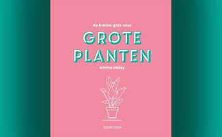 De kleine gids voor grote planten