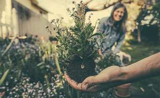 5 tips om jouw tuin door de warme zomermaanden te helpen