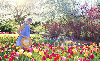 Tips voor een heerlijke tuin