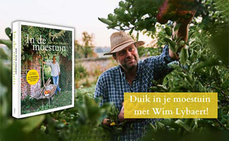 Duik in je moestuin met Wim Lybaert en zijn nieuwe boek: In de moestuin