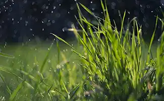 Zakt het regenwater wel snel in de grond?