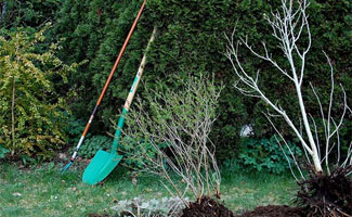 Zo hou je je huis schoon tijdens een verbouwing van je tuin