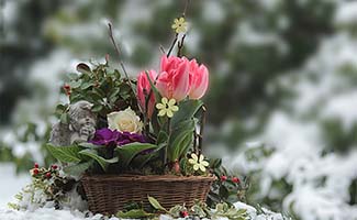 10-Manieren-om-in-de-Winter-van-Jouw-Tuin-te-Genieten