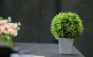 Een goed idee: kunstplanten voor je nieuwe huis!