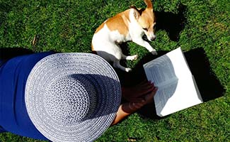 /Tuintips-voor-de-eerste-week-van-augustus-Breng-je-tuin-tot-leven/