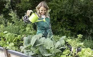 Tuintips: De moestuin in mei