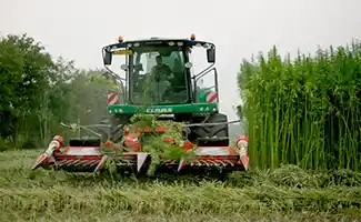 Heijmans verdubbelt teelt vezelhennep voor biobased isolatie in woningbouw