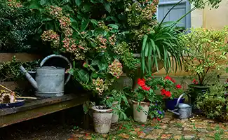 Vlaming maakt van zijn tuin een leefruimte op maat