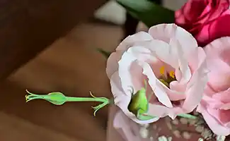 Kies voor een duurzaam interieur met zijdebloemen