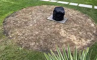 Tips van experts om je gazon te beschermen tegen de zomerhitte