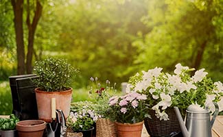 /Zo-geniet-je-van-een-gezonde-tuin-in-zomerse-temperaturen/