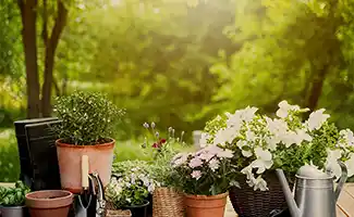 Zo geniet je van een gezonde tuin in zomerse temperaturen