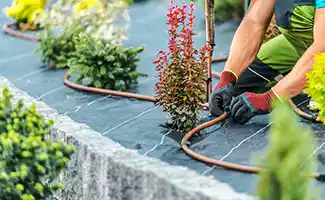 Slim tuinonderhoud bij droogte: minder werken, beter resultaat