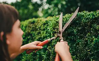 Laatste tuintips voor juni: zo haal je het beste uit je zomerse tuin