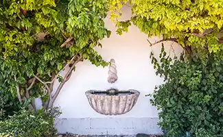 Wat je moet weten om een mediterrane tuin aan te leggen