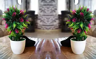 De onverwachte voordelen van kunstplanten in huis