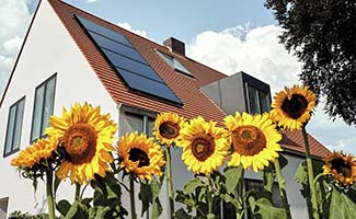 /Zonnepanelen-en--warmtepomp-een-onmisbare-combo/