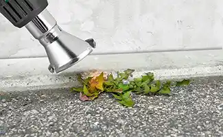 Hoe onkruid voorkomen, verwijderen en hergebruiken?