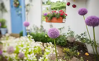 Tuintips voor de tweede week van augustus: zo overleeft je tuin de hitte