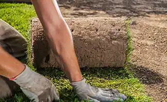 Tuintips: Een nieuw gazon aanleggen