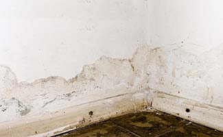 /Schimmel-op-de-muur-hoe-het-te-verwijderen-en-te-voorkomen/