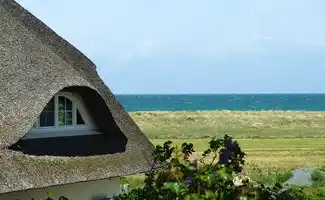 Contactloos Toerisme: Betaalapps, QR-codes en Vouchers in de Zeeuwse Vrijetijdseconomie