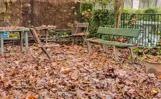 Zo maak je je tuin herfstklaar: praktische tips van tuinspecialisten