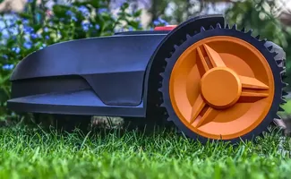 Een onderhoudsvrije tuin: zo kun je het realiseren