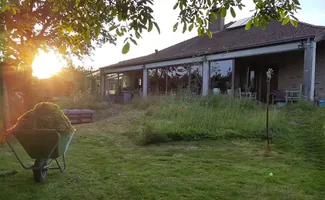 Maak van je tuin een winterparadijs voor dieren en insecten