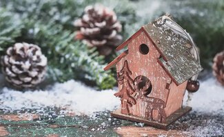 /Praktische-tuintips-voor-de-derde-week-van-december/