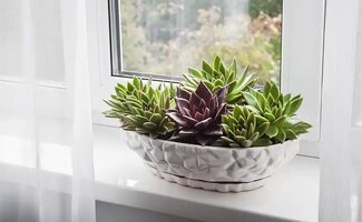 /De-vensterbank-als-stille-sfeermaker/