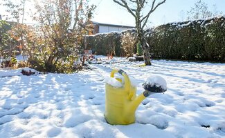 /Tuintips-voor-januari-tuinieren-na-sneeuw-en-vorst/