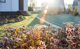 /Winterse-tuinklusjes-midden-januari-dit-vraagt-je-tuin-nu/