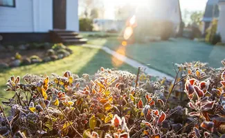 Winterse tuinklusjes midden januari: dit vraagt je tuin nu
