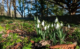 /Tuintips-voor-eind-januari-slim-inspelen-op-zachter-en-droger-winterweer/