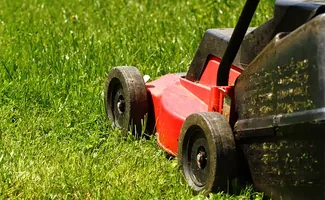 Welke grasmaaier past bij jouw tuin?