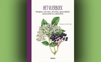 /Nieuw-boek-toont-de-veelzijdigheid-van-de-vlier-in-keuken-tuin-en-huis/