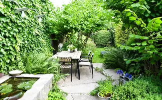 Slim omgaan met regenwater: nieuwe regels bieden kansen voor tuinen