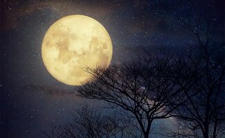 /Energie-winnen-op-de-maan-Europa-zet-grote-stap-vooruit/