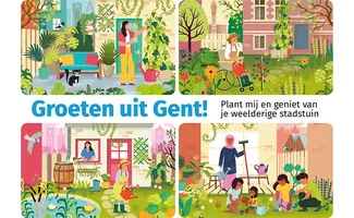 Gent wil meer groen: tuinen spelen sleutelrol in klimaatadaptatie