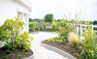 /Antwerpen-zet-platte-daken-in-als-klimaatdak/