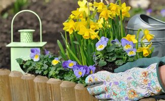 /Tuintips-voor-april-dit-vraagt-nu-aandacht-in-de-tuin/