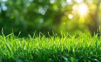 Hoe ligt jouw tuin er net voor de zomer bij?