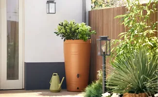 Veel Nederlanders willen regenwater opvangen, maar weten niet hoe