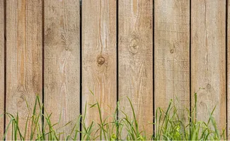 Welke schutting past het best bij jouw tuin en bodemtype?