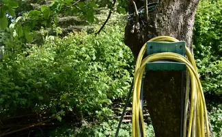 Meer uit je tuin halen? Zo maakt zuurstof in water het verschil