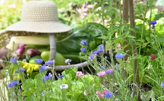 Tuintips voor de tweede week van juni